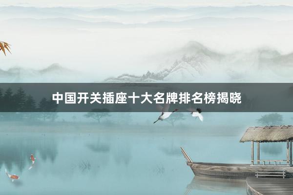 中国开关插座十大名牌排名榜揭晓