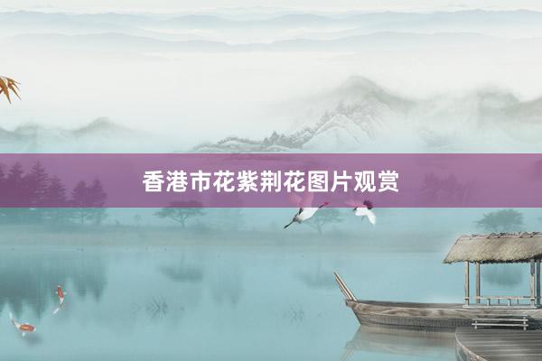 香港市花紫荆花图片观赏