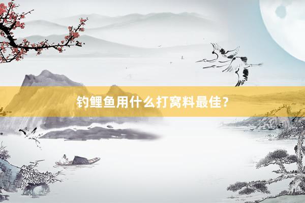 钓鲤鱼用什么打窝料最佳？