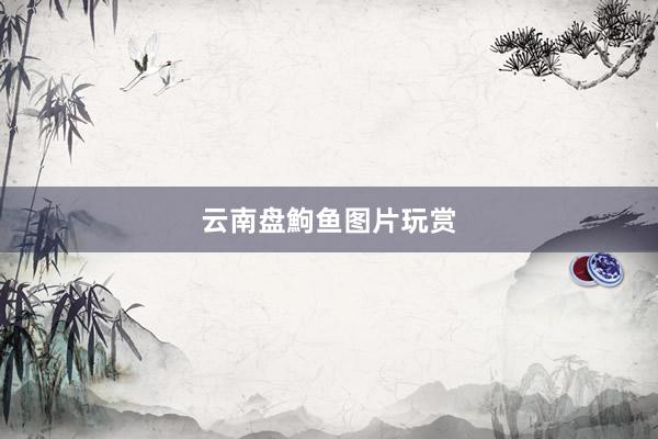 云南盘鮈鱼图片玩赏