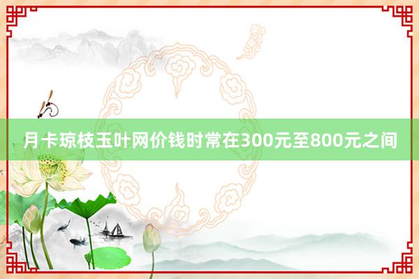 月卡琼枝玉叶网价钱时常在300元至800元之间